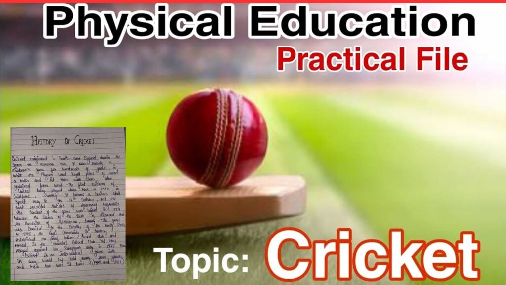 physical education practical file class 11 on cricket pdf